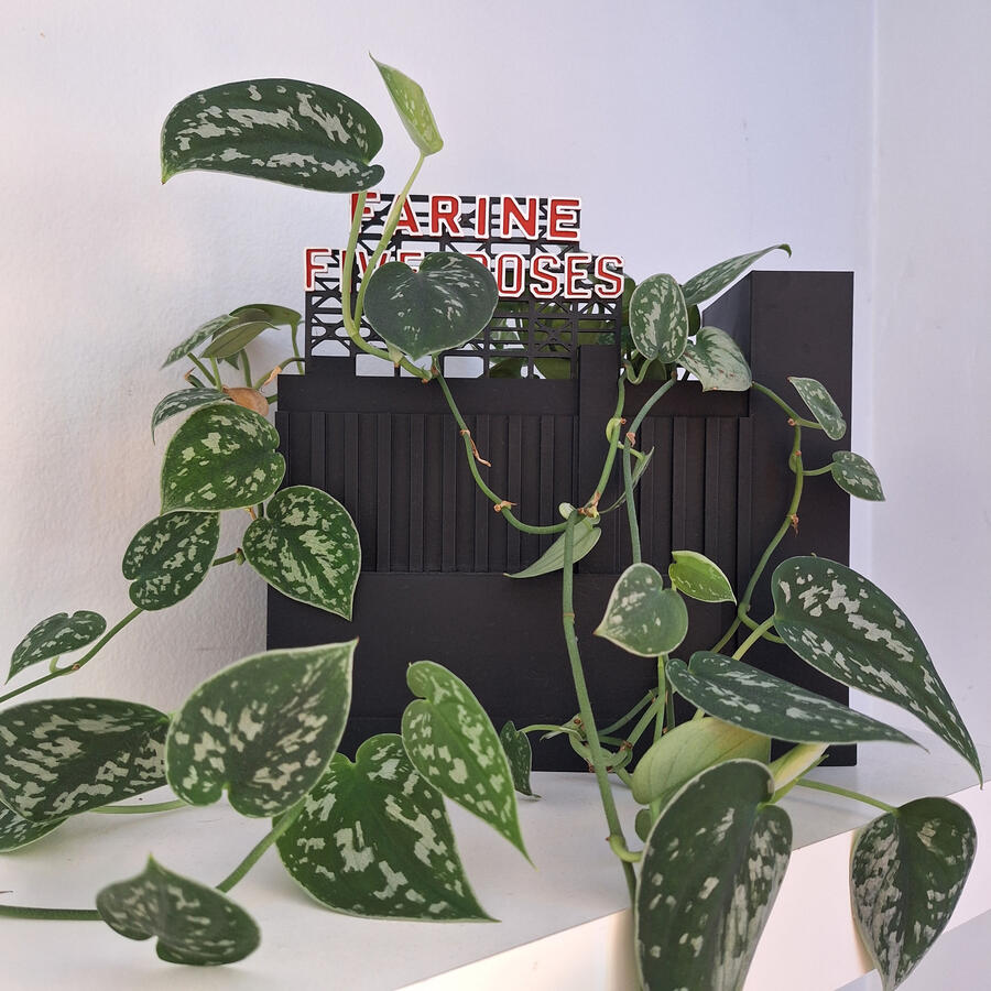 Jardinière - Farine five roses Jardinière - Farine five roses